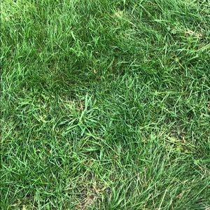 Meet your Posher, Jeremy